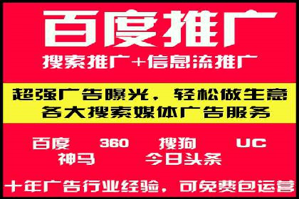 成功运用SEM技术提升网站流量的案例研究